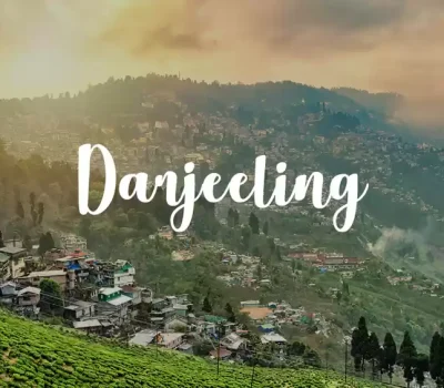 1573474771_darjeeling1.jpg